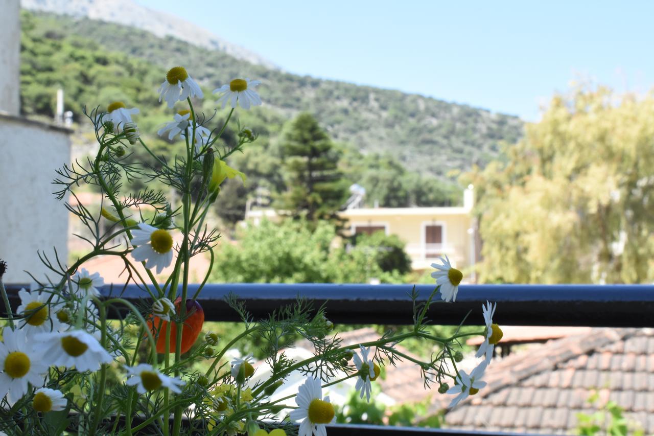 Starvillas Apartments And Studios Agia Efimia Exterior foto
